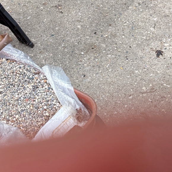 2005 pre-Owned Plymouth Rust and Black Toy Car - Picture 2 of 3